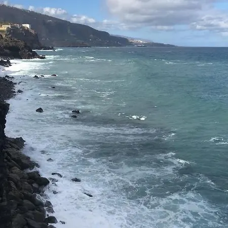 Ocean View In Front Of Loro Parque